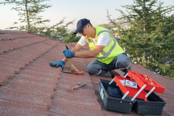 Sealant for Roof in Dunlap, IN